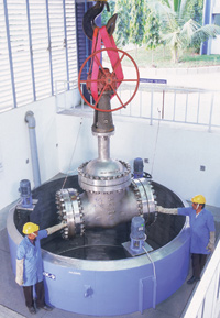  Valves Suppliers Dealers Distributors in India