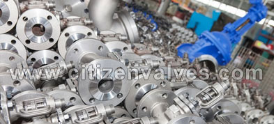 Duplex Steel Valve Suppliers Dealers Distributors in Europe