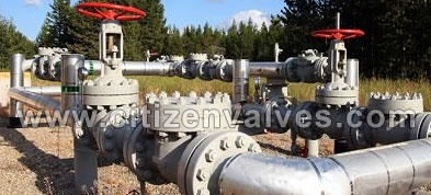 254 Smo Valve Suppliers Dealers Distributors in Europe